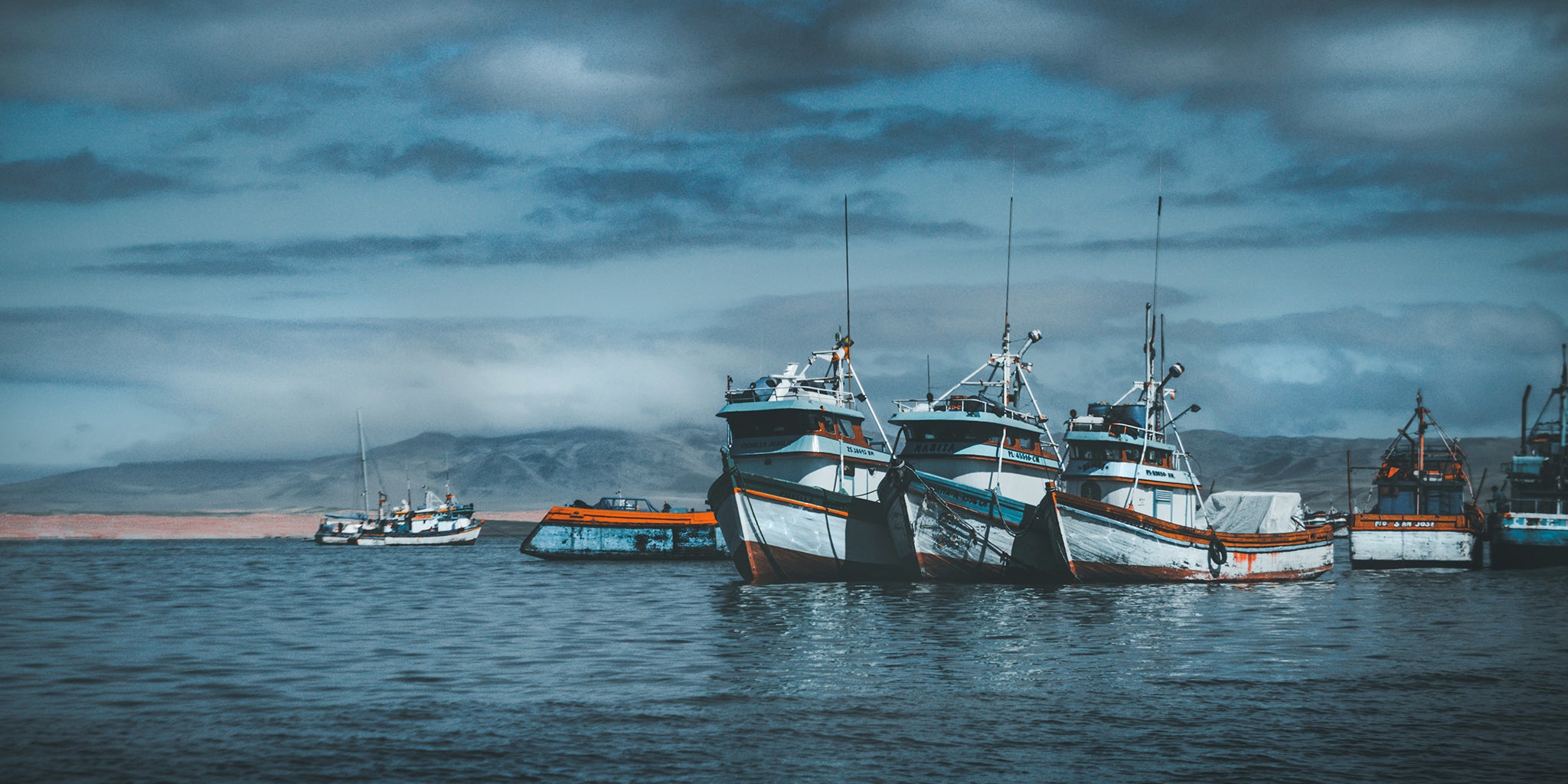 Fishing fleet at dawn